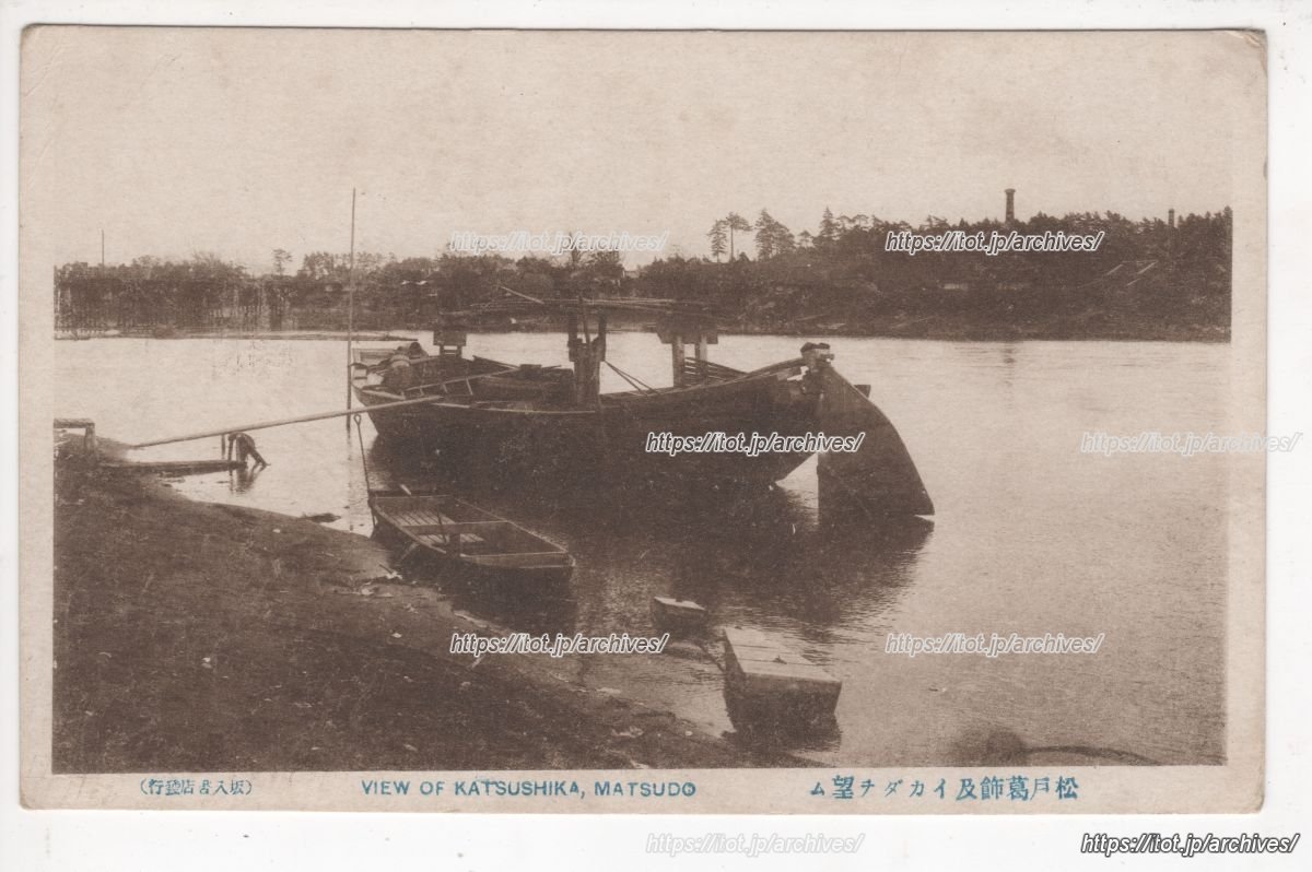 江戸川（松戸・葛飾）