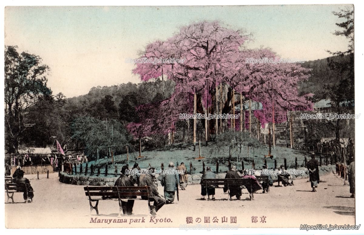 円山公園