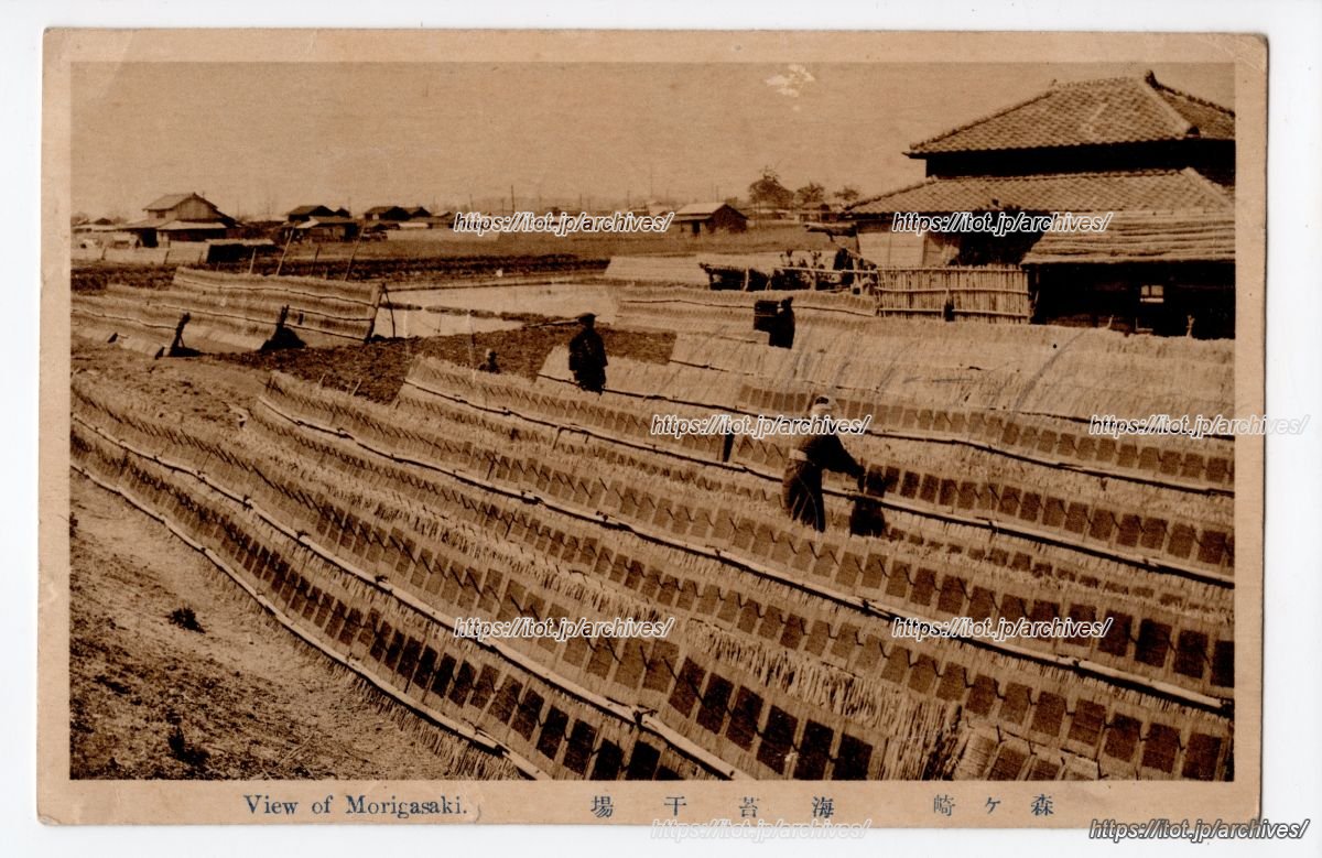 森ヶ崎 海苔干場