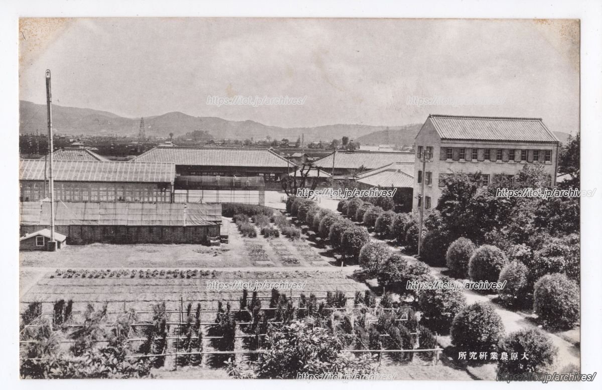 大原農業研究所
