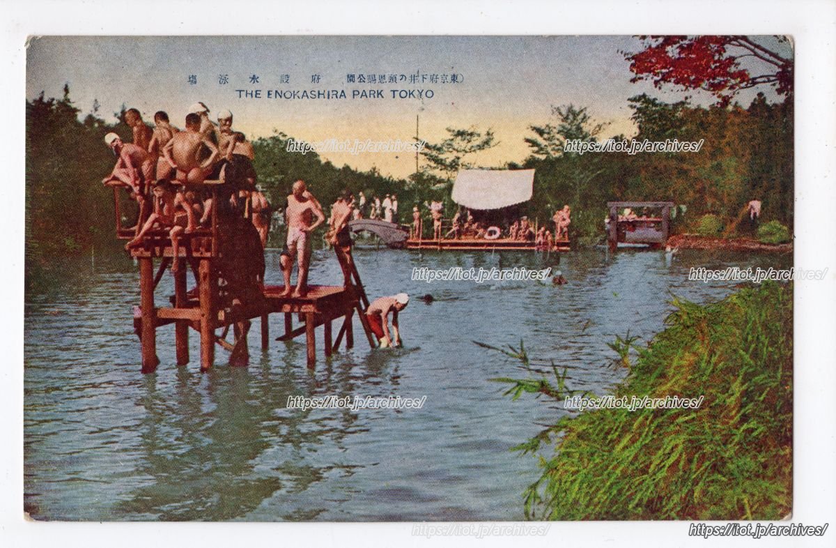 井ノ頭恩賜公園 水泳場