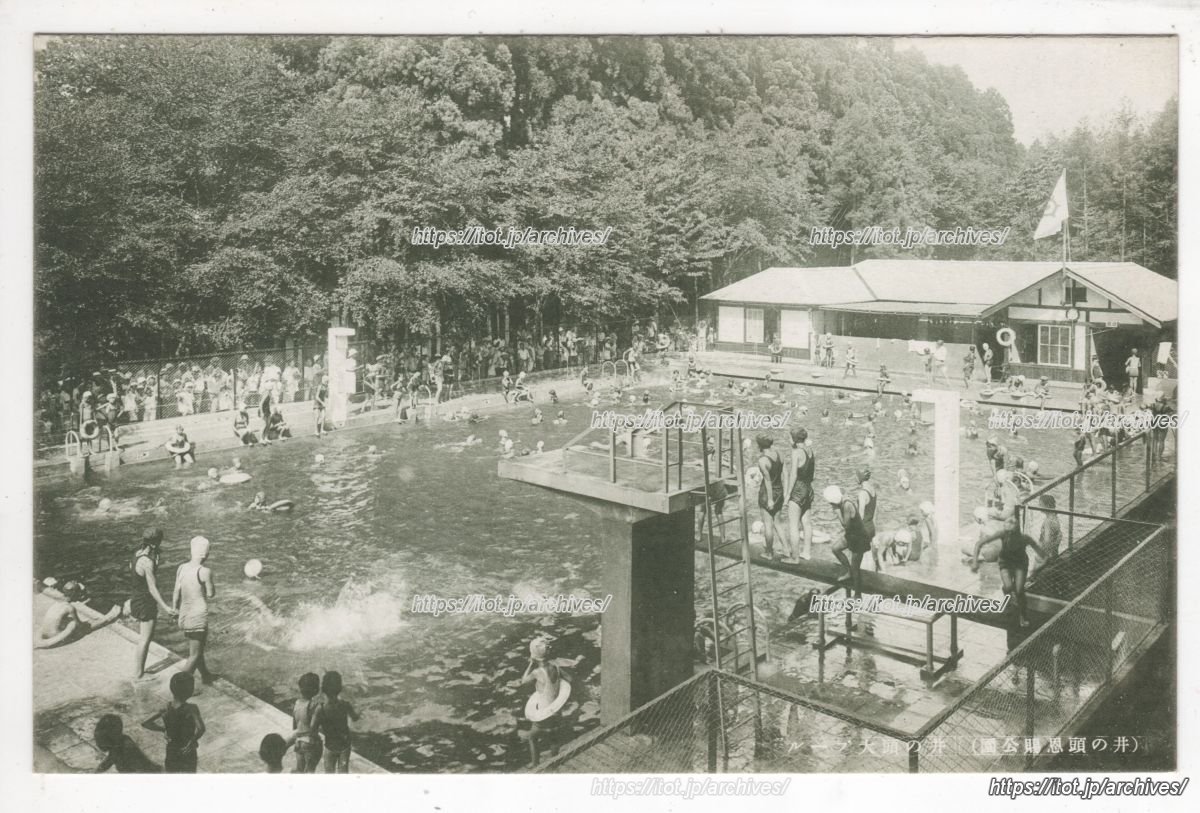 井ノ頭恩賜公園 プール