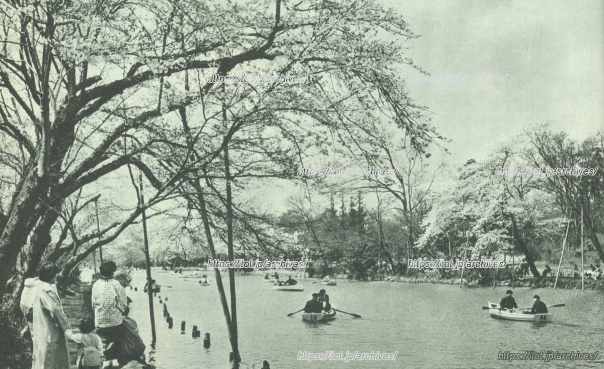 井ノ頭恩賜公園／井の頭恩賜公園