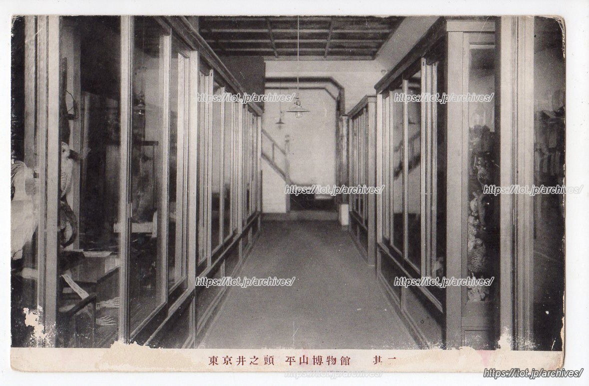 平山博物館／平山昆虫博物館