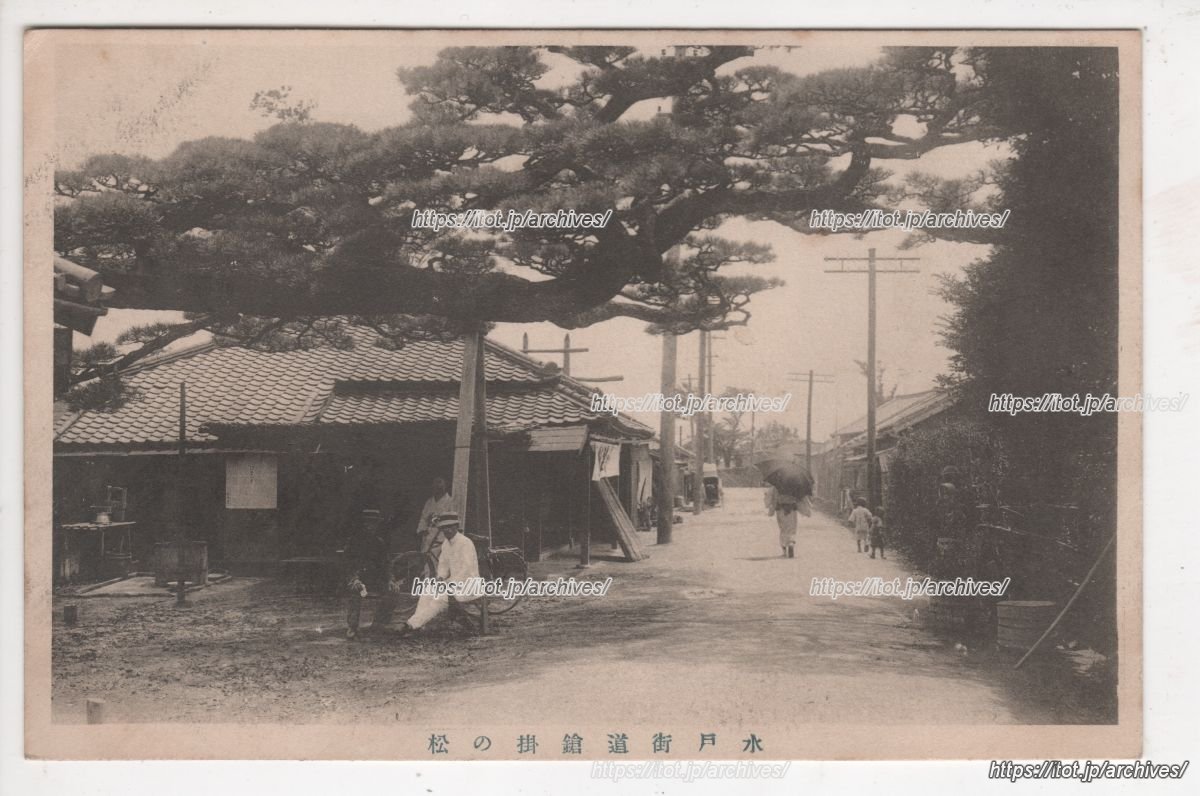 水戸街道槍かけ松