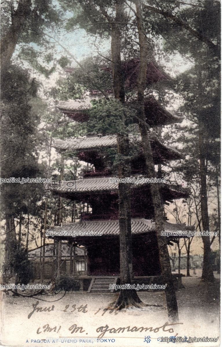 寛永寺 五重塔