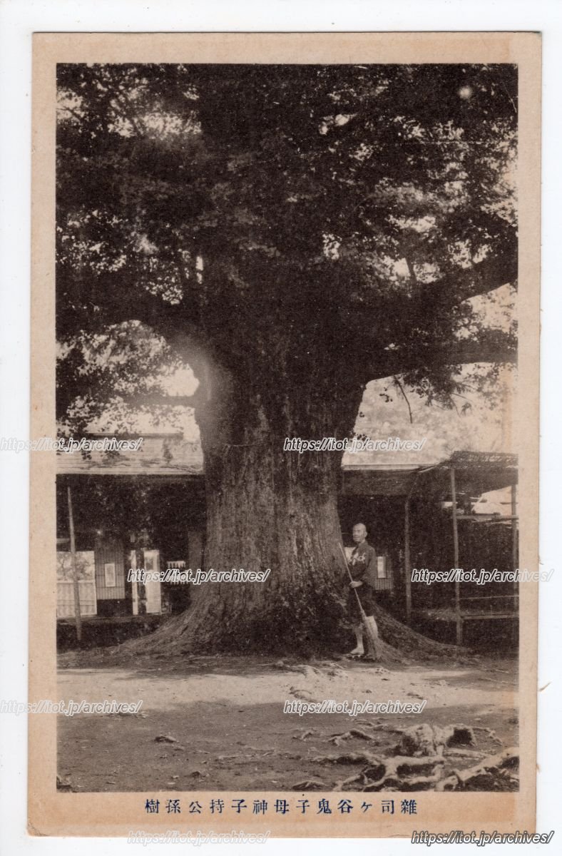 雑司ヶ谷鬼子母神