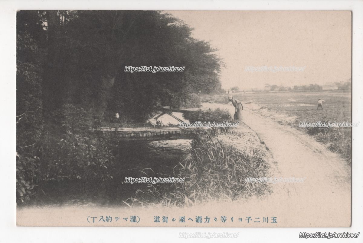 六郷用水（次太夫堀）