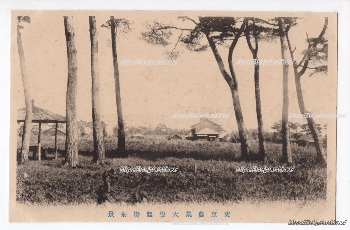 東京農業大学 用賀農場