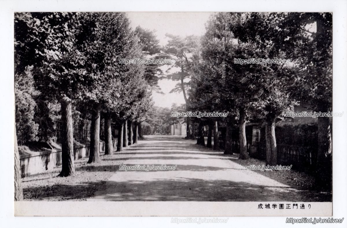 成城学園正門通り
