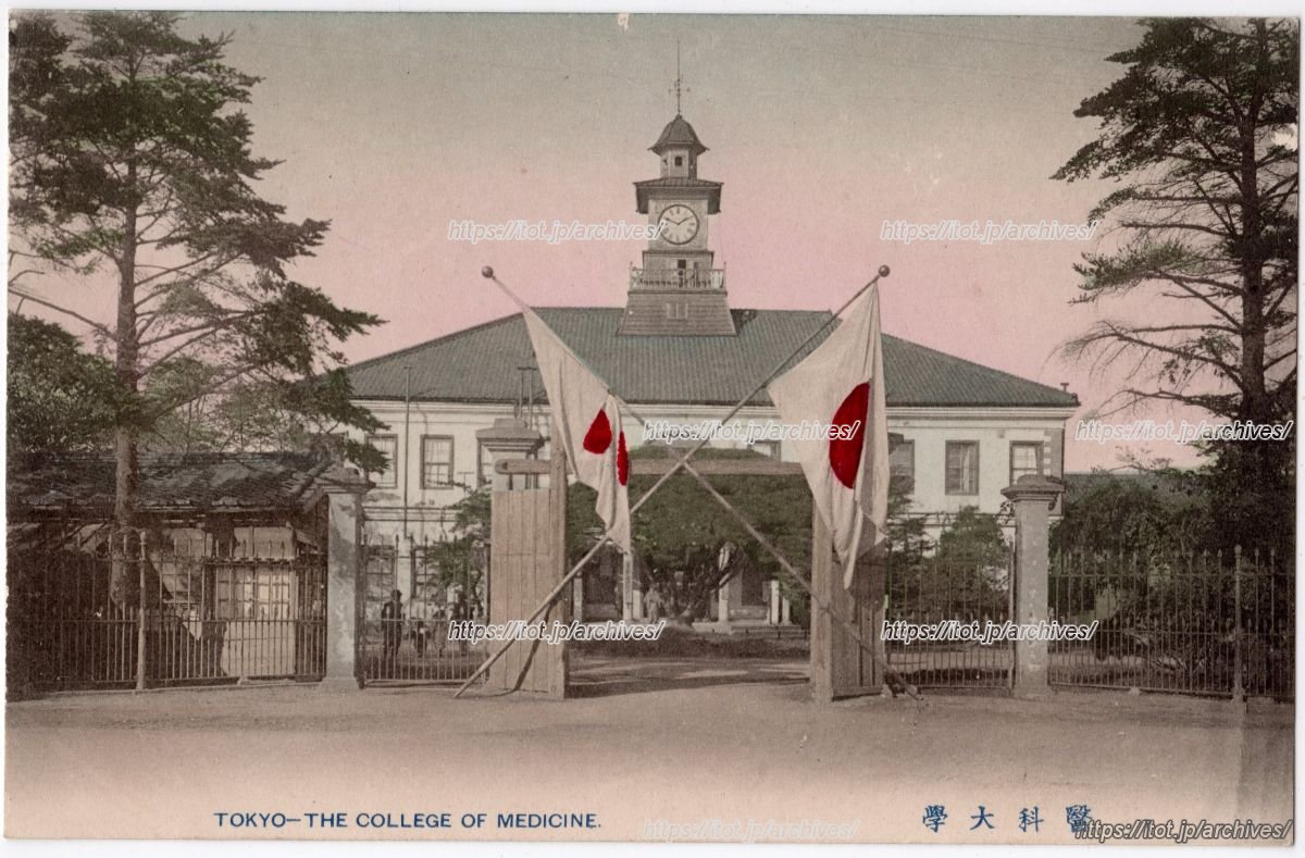東京帝国大学 医科大学